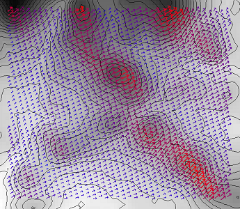 Flow field map over complex terrain